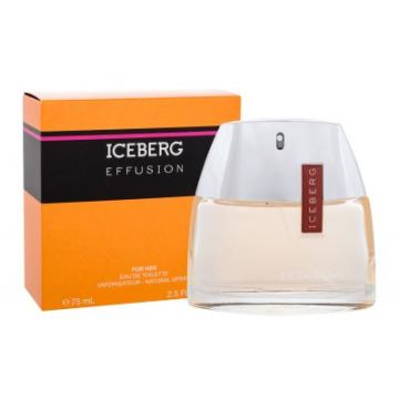 Iceberg Effusion woda toaletowa 75ml dla Pań