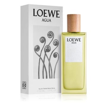 Loewe Agua woda toaletowa 50ml dla Pań