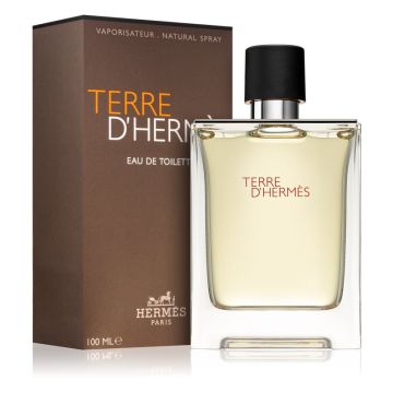 Hermes Terre D'Hermes woda toaletowa 100ml dla Panów