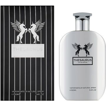 Emper Thesaurus Men woda perfumowana 100ml dla panów