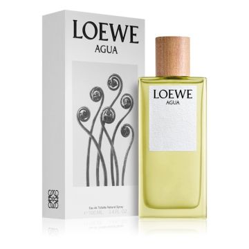 Loewe Agua woda toaletowa 100ml dla Pań
