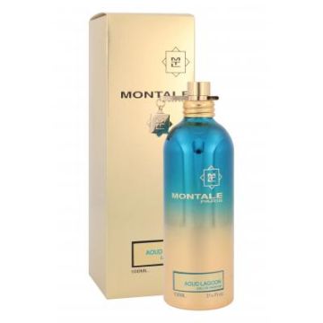 Montale Aoud Lagoon woda perfumowana 100ml unisex