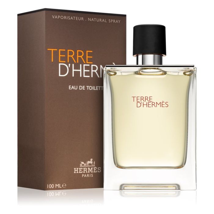 Hermes Terre D'Hermes woda toaletowa 100ml dla Panów