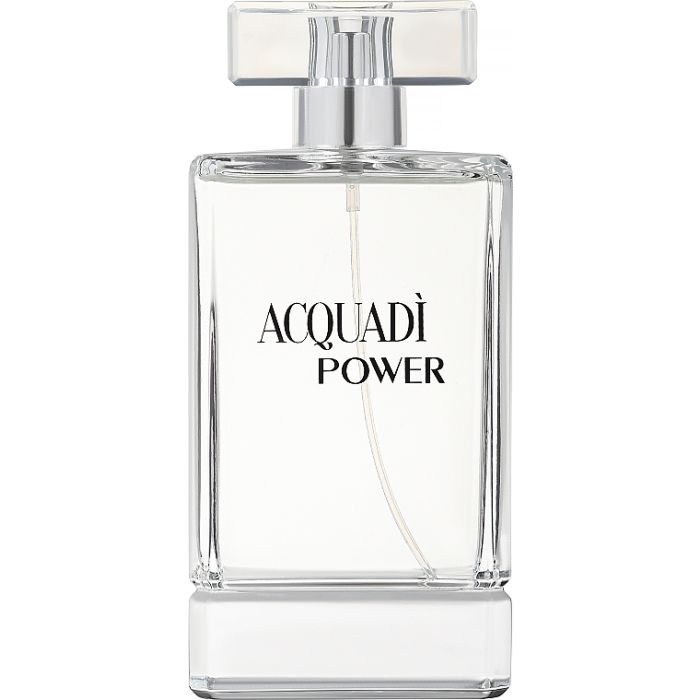 AcquaDi Power woda toaletowa 100ml dla panów